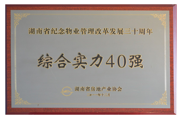 2011ҵĸ﷢չʮۺʵ40ǿ